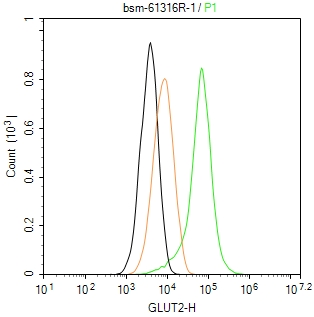 葡萄糖转运蛋白2重组兔单抗
