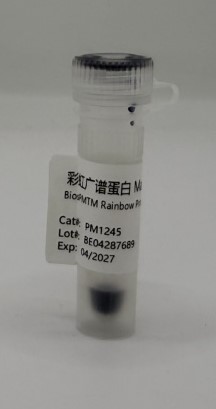 BiosPM™彩虹广谱蛋白Marker（10-245KD）
