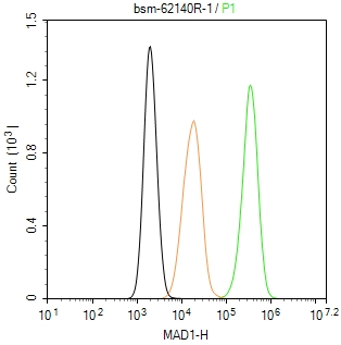 有丝分裂抑制缺陷蛋白1重组兔单抗-bsm-62140R