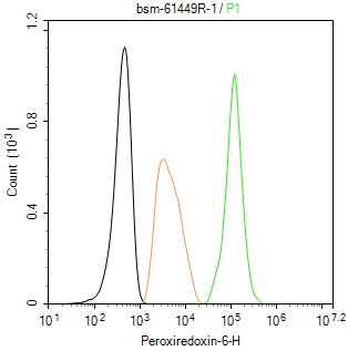 过氧化物还原酶6重组兔单抗