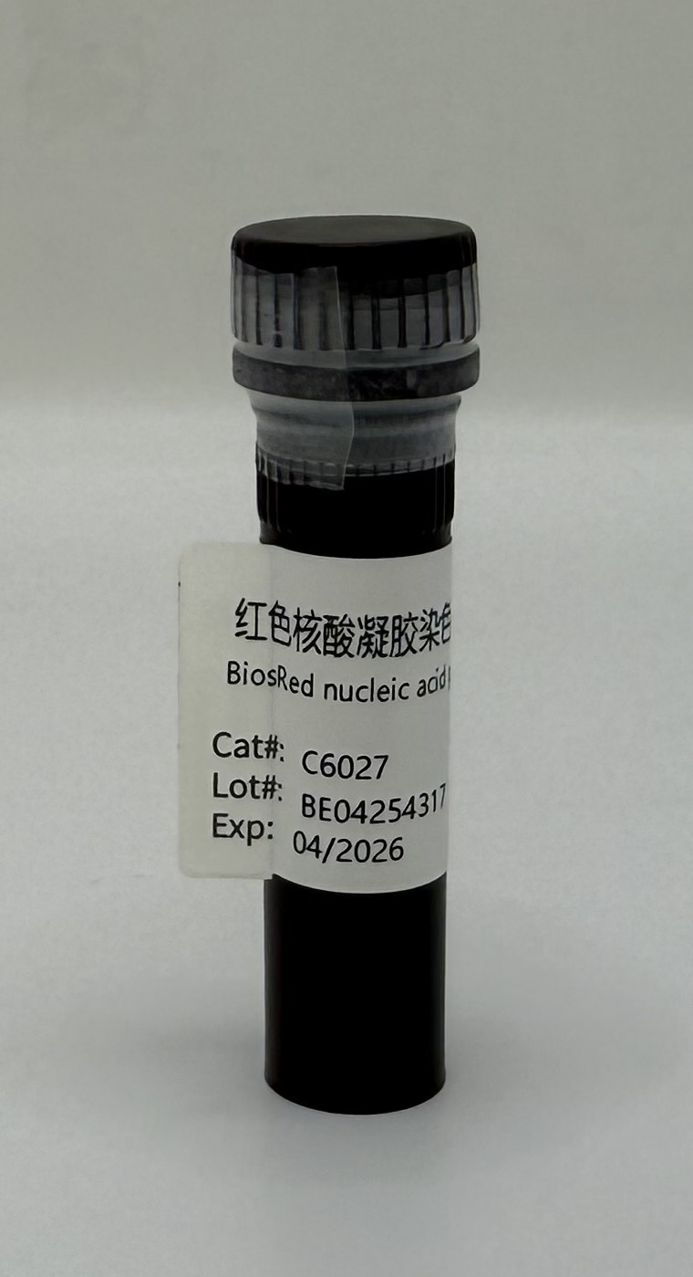 BiosRed nucleic acid gel stain (10000×in water) (分子生物学) | Bioss