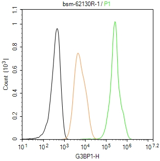 Ras GTP酶活化蛋白结合蛋白1重组兔单抗