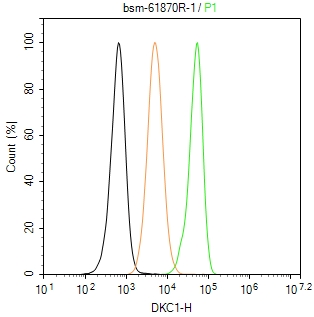 核仁蛋白NAP57重组兔单抗-bsm-61870R