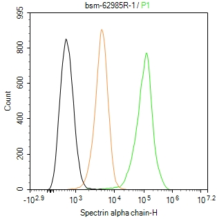 血影蛋白A链红细胞型重组兔单抗