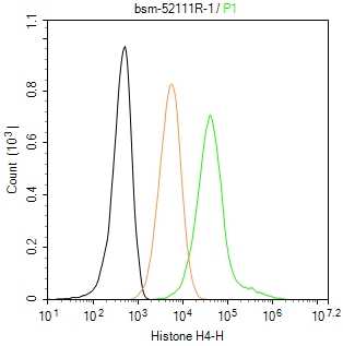 组蛋白H4重组兔单抗