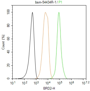 BRD2蛋白重组兔单抗