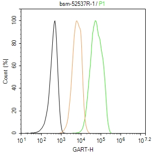 甘氨酰胺核苷酸合成酶重组兔单抗