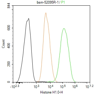组蛋白H1.0重组兔单抗