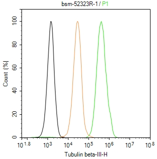 微管蛋白β3重组兔单抗