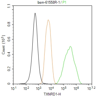 硫氧环蛋白还原酶1重组兔单抗