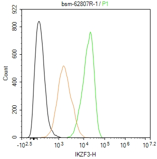 锌指蛋白Aiolos重组兔单抗-bsm-62807R