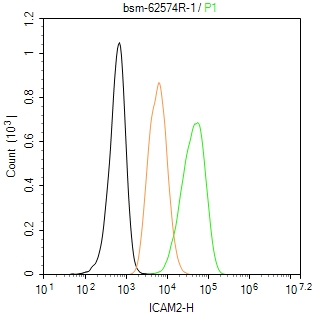 细胞间粘附分子-2（CD102）重组兔单抗
