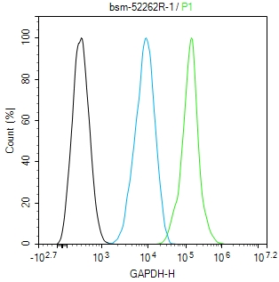 3-磷酸甘油醛脱氢酶(内参)重组兔单抗