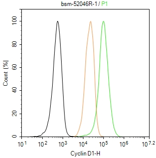 周期素D1重组兔单抗