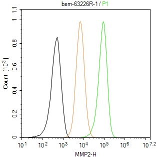 基质金属蛋白酶2重组兔单抗