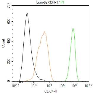 细胞内氯离子通道蛋白4重组兔单抗