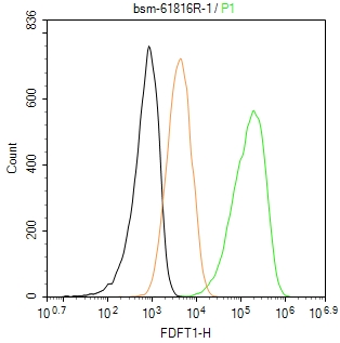 法尼基二磷酸法尼基转移酶1/鲨烯合成酶重组兔单抗-bsm-61816R