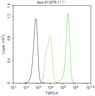 TSPO蛋白重组兔单抗