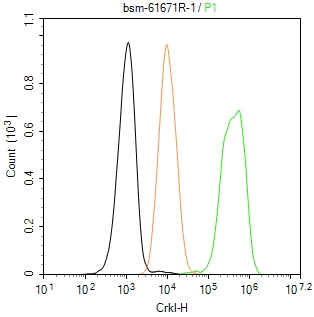 接头蛋白CrkL重组兔单抗