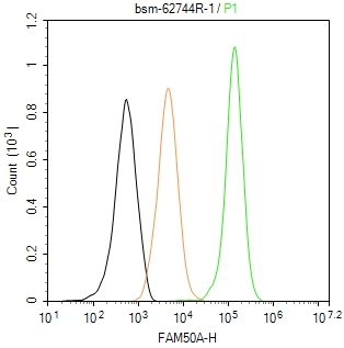 FAM50A蛋白重组兔单抗-bsm-62744R