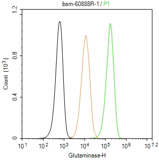 谷氨酰胺酶重组兔单抗