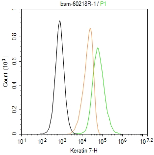 细胞角蛋白7重组兔单抗-bsm-60218R