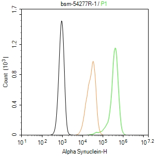 核突触蛋白-α重组兔单抗