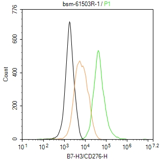 CD276重组兔单抗