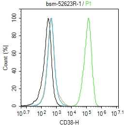 CD38重组兔单抗