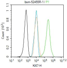 Ki67重组兔单抗