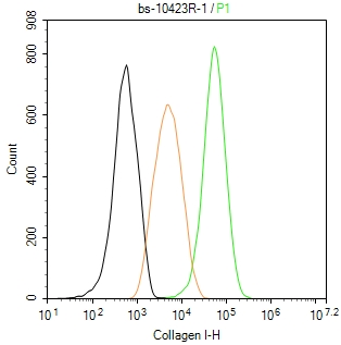 I型胶原蛋白/胶原蛋白1/1型胶原蛋白/I型胶原a1抗体