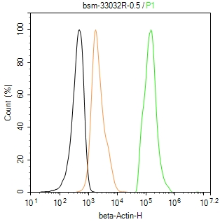 β-肌动蛋白（内参抗体）重组兔单抗