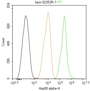 热休克蛋白90α重组兔单抗