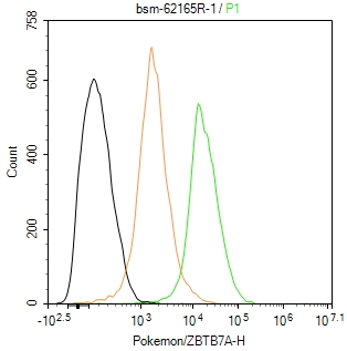 扑克蒙蛋白重组兔单抗