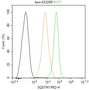泛素结合蛋白P62重组兔单抗