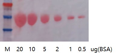丽春红染色液-C-0023