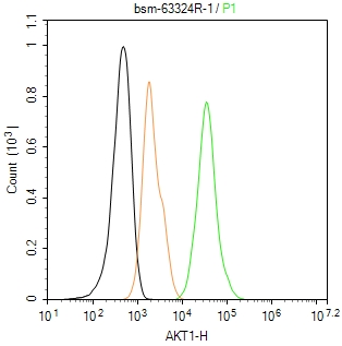 蛋白激酶B重组兔单抗