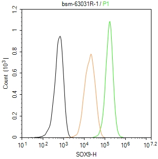 转录因子SOX9蛋白重组兔单抗