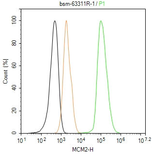 微小染色体维持缺陷蛋白2重组兔单抗