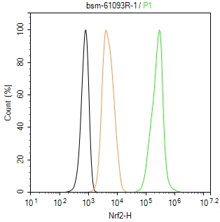 核因子2相关因子2重组兔单抗