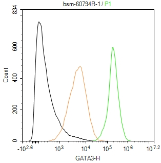 GATA结合蛋白3重组兔单克隆抗体