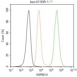 热休克蛋白-60/groEL重组兔单抗