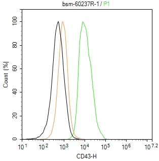 CD43重组兔单抗