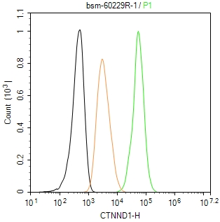 连环蛋白delta-1重组兔单抗