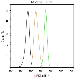细胞核因子/k基因结合核因子抗体-bs-20160R