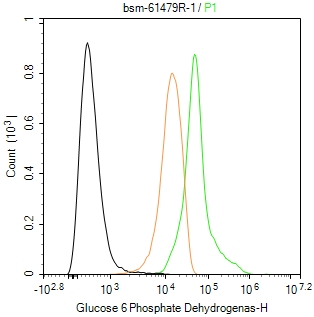 葡萄糖-6磷酸脱氢酶重组兔单抗