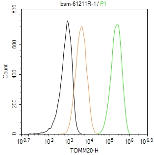 线粒体外膜受体Tom20重组兔单抗