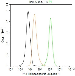泛素蛋白(K48-linkage)重组兔单抗