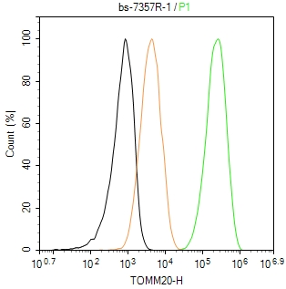 线粒体外膜受体Tom20抗体-bs-7357R