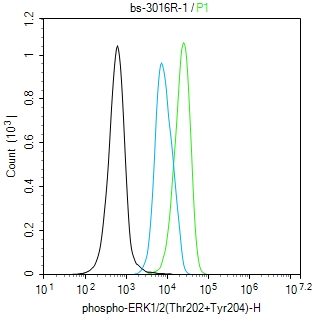 phospho-ERK1/2 (Thr202 + Tyr204) Rabbit pAb (一抗) - Flow-Cyt,ICC/IF | Bioss